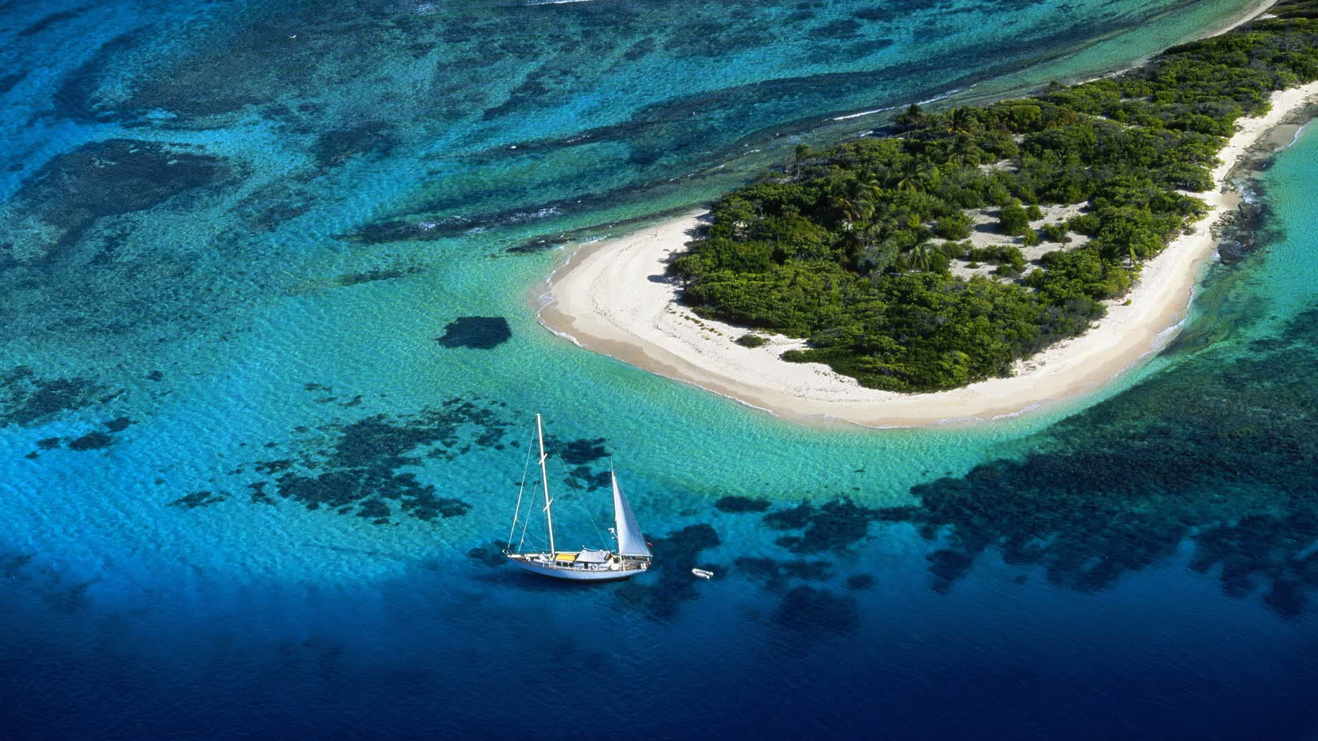 世界体能恢复公益夜市活动回顾:社区参与热情持续高涨